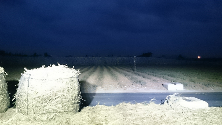 サトウキビ畑作業灯照射写真