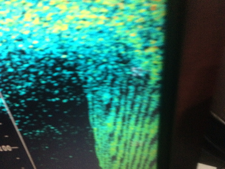 漁船・魚群探知機ノイズ